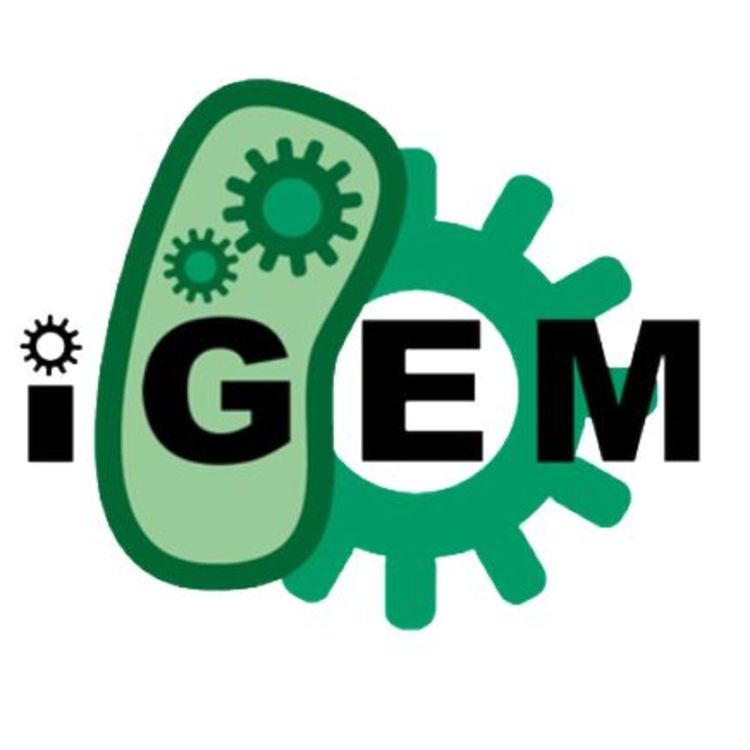 cover art for #Bonus: iGem w/ Patrick Andreassen (EN)