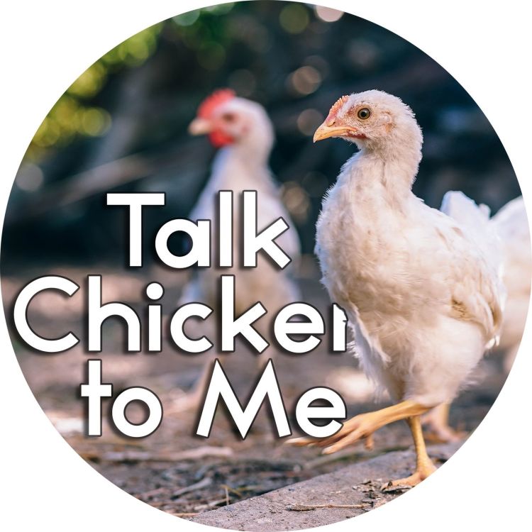 cover art for #2.11: Talk Chicken to Me
