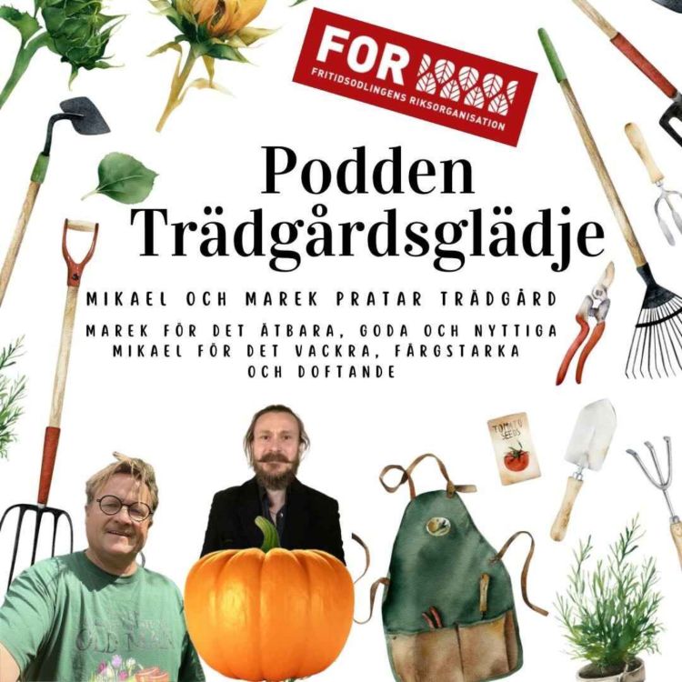 cover art for Avsnitt 13 - Ormbunkar med Anton Sundin, Tusen trädgårdar och Trädgårdsamatörernas Riksmöte.