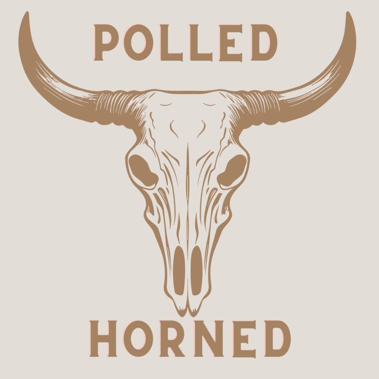 cover art for Polled vs. Horned