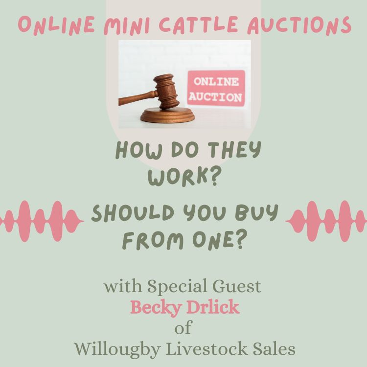 cover art for Online Mini Cattle Auctions! Are they good or bad? 