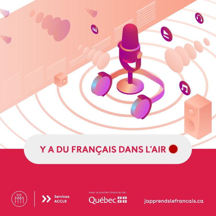 cover art for Le français, une langue qui fait l’affaire! 