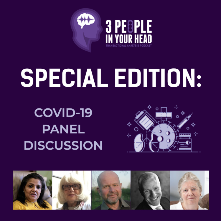 cover art for S8 E2: COVID-19 Panel Discussion Part 2