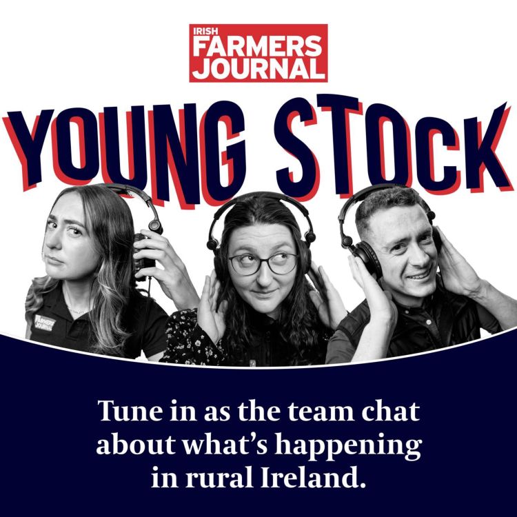 cover art for Ep 1045: Young Stock Podcast -  Episode 104 - ASA president at the age of 30