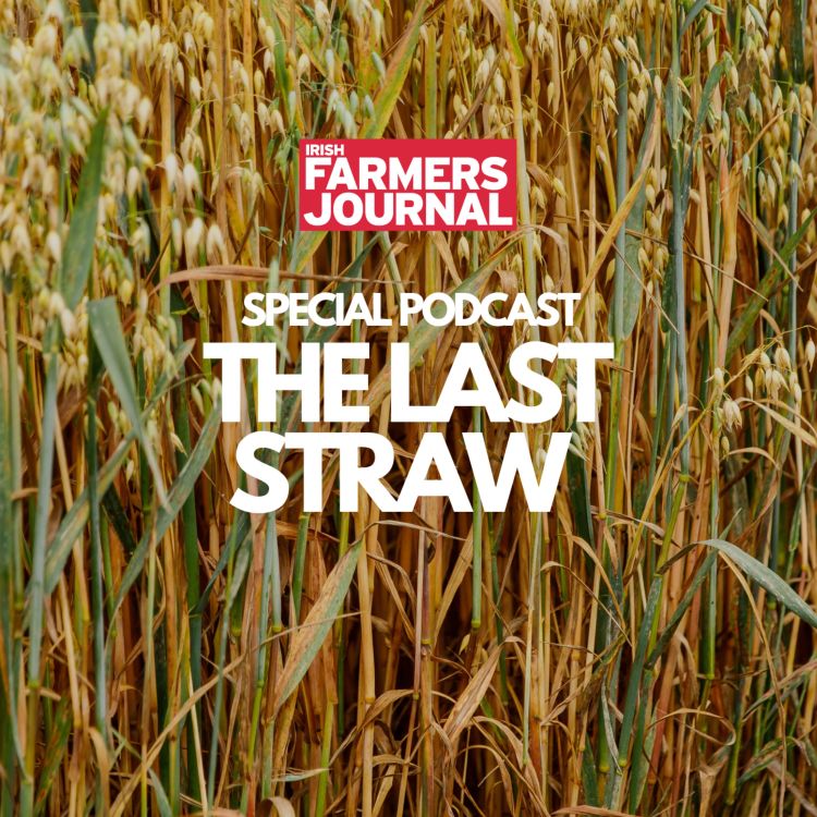 cover art for Ep 1052: The Last Straw: farmers speak out on straw scheme