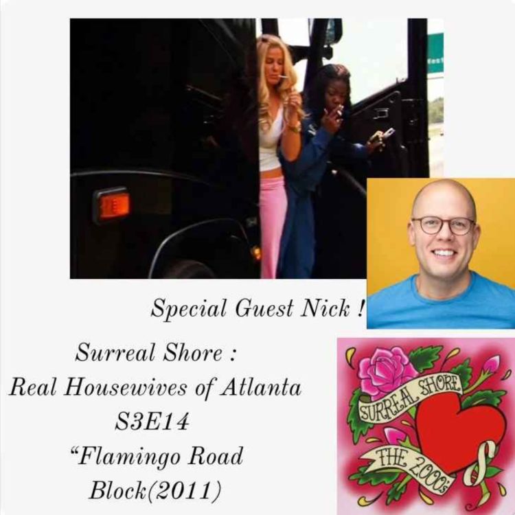 cover art for Surreal Shore: Real Housewives Of Atlanta S3E14 "Flamingo Road Block" (2011)