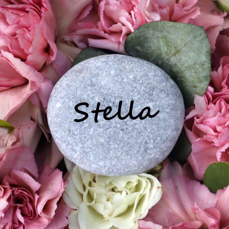 cover art for Stella