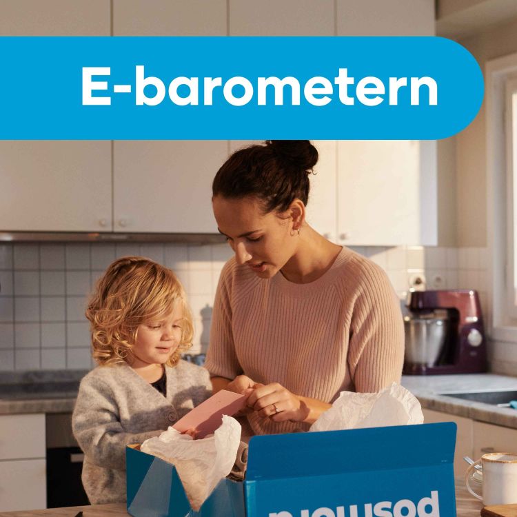 cover art for E-barometern - internationell ehandel