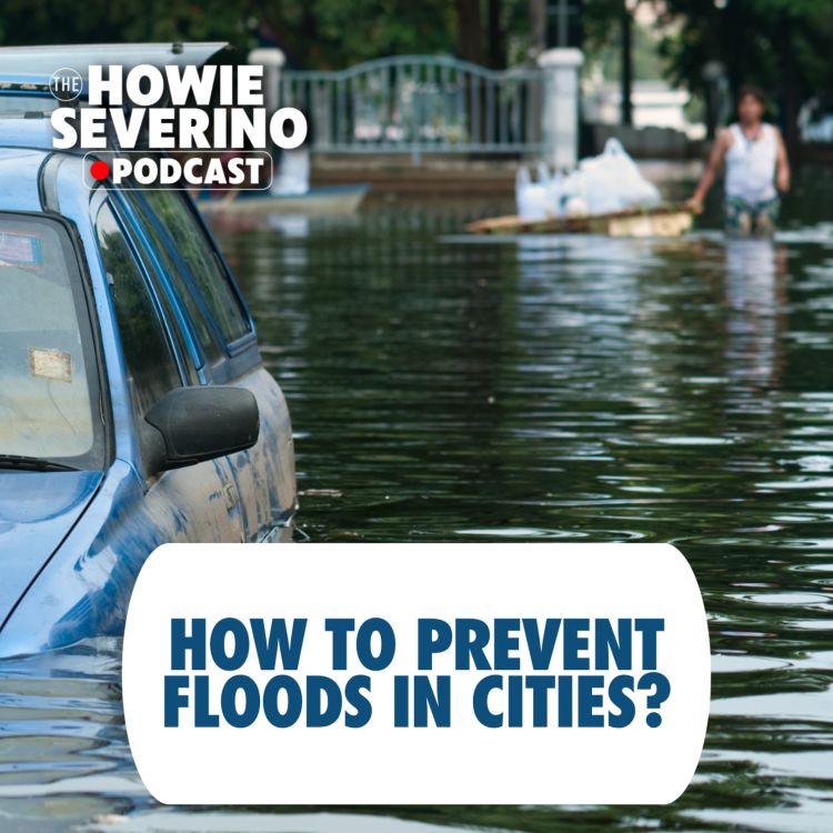 cover art for [MINISODE] How can cities prevent flooding? 