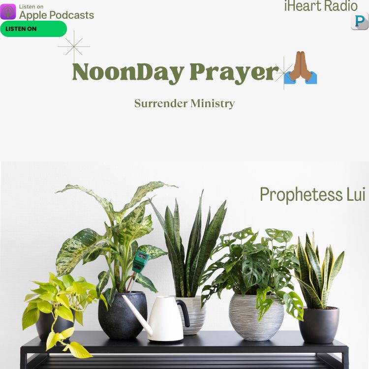 cover art for NoonDay Prayer #620