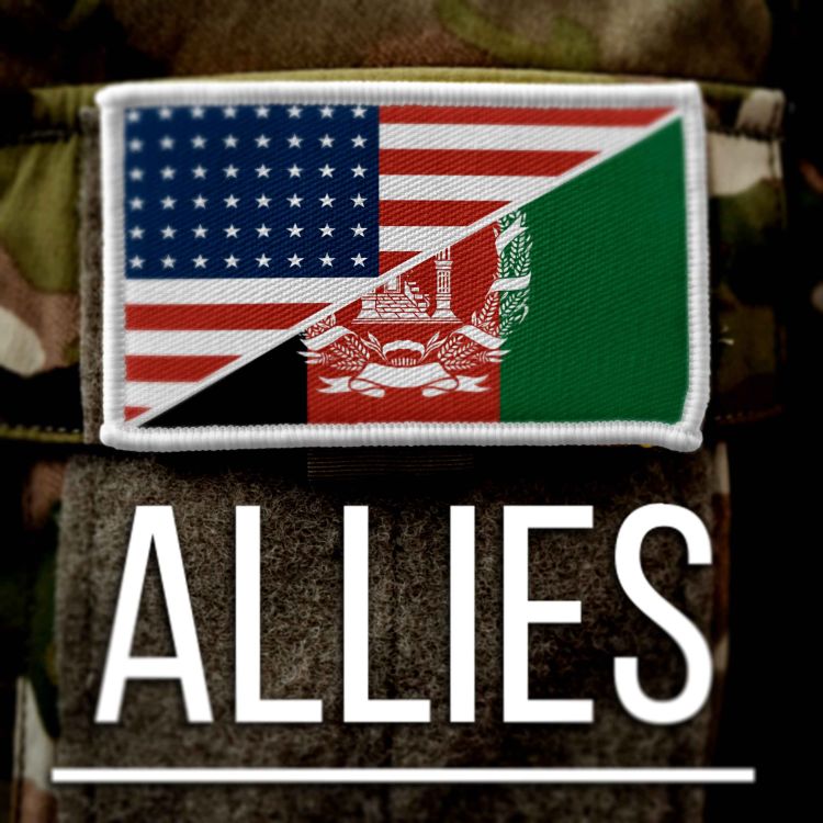 cover art for Episode 6: Allies Refuge