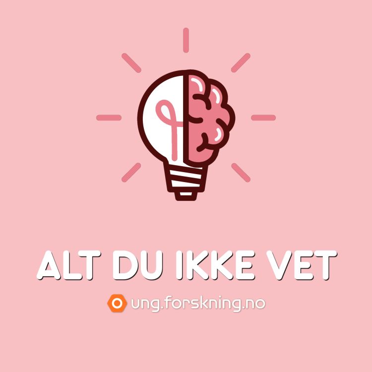 cover art for Hva er egentlig stress og hva kan du gjøre med det?