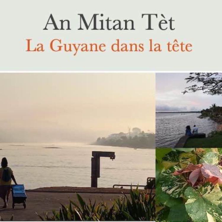 cover art for Être un étranger sans papier en Guyane