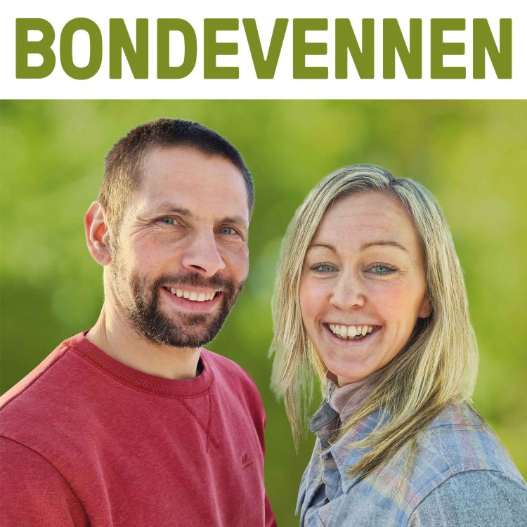 cover art for Saueavl lønner seg - del 2