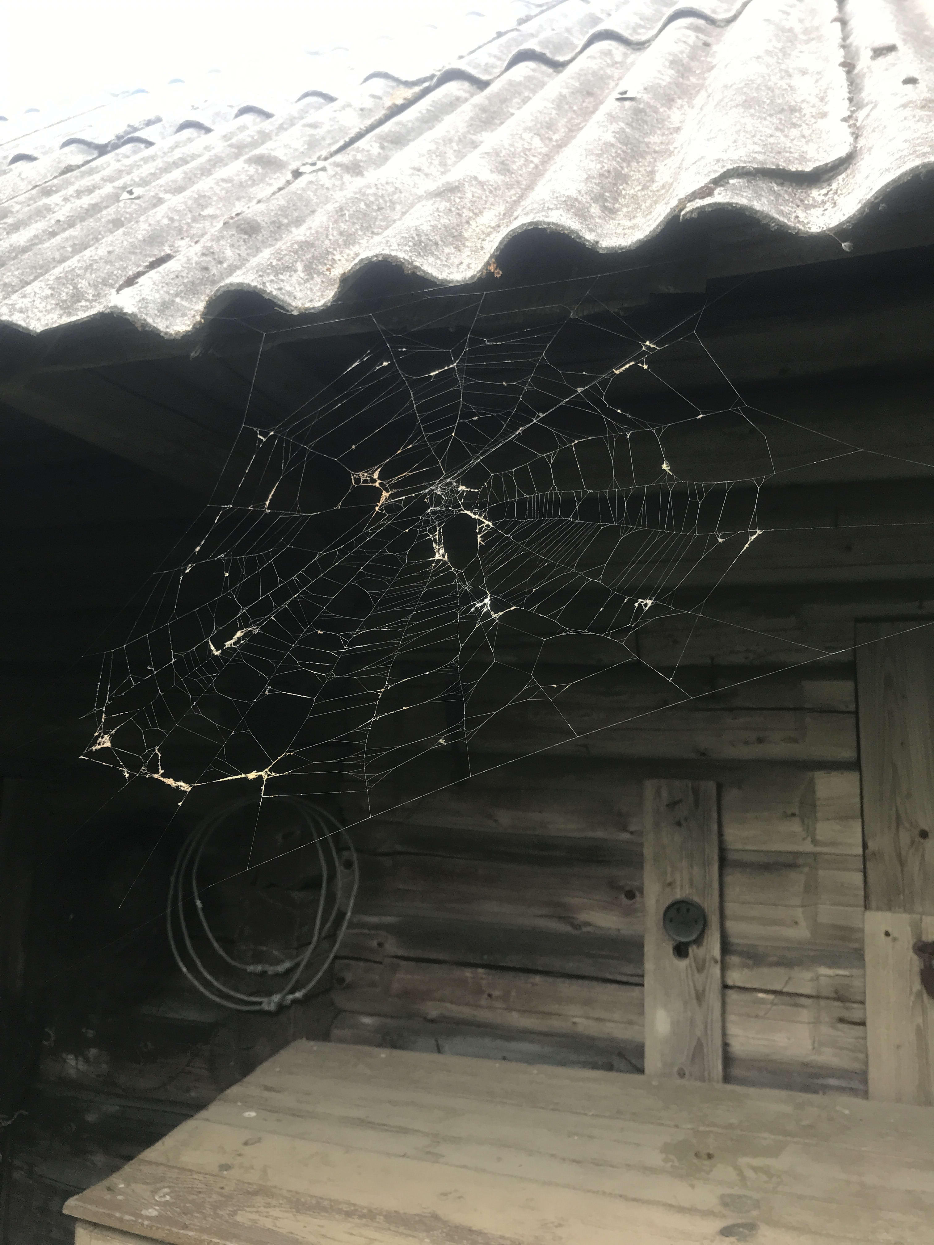 Matkavarustus lõkke ääres