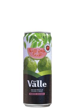 Suco Del Valle Goiaba Lata 290ml