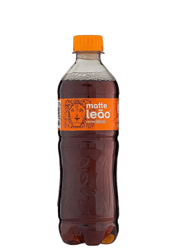 Chá Matte Leão Natural Pet 450ml