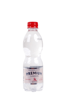 Água Mineral Lindoia Premium Pet com gás 310ml