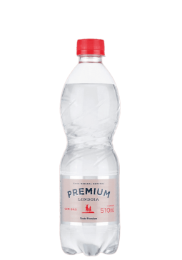 Água Mineral Lindoia Premium Pet com gás 510ml