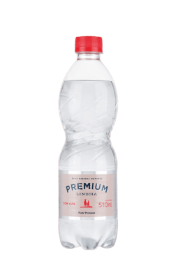 Água Mineral Lindóia Premium Pet com gás 510ml
