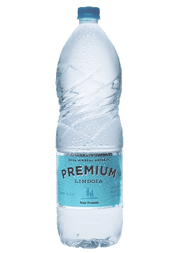 Água Mineral Lindoia Premium Pet sem gás 1,5L
