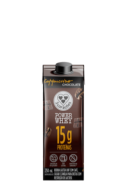 Bebida Láctea Power Whey Chocolate 250ml 