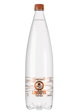 Água Mineral Lindoya Verão Speciali Pet Com gás 1,25L