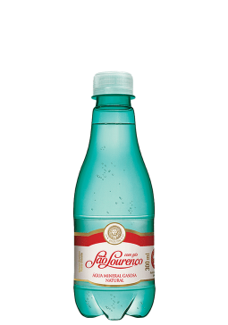 Água Mineral Natural São Lourenço Pet Com Gás 300ml