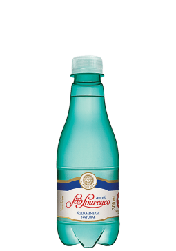 Água Mineral Natural São Lourenço Pet Sem Gás 300ml