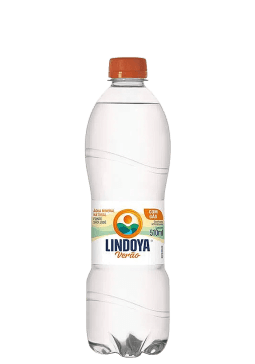 Água Mineral Lindoya Verão Pet Com Gás 510ml