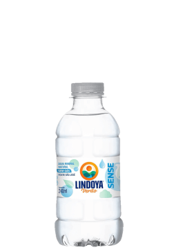 Água Mineral Lindoya Verão Sense Pet Sem Gás 240ml