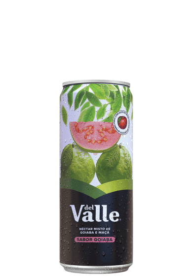 Suco Del Valle Goiaba Lata 290ml