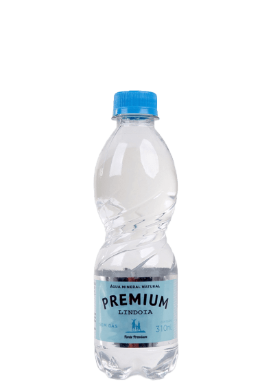 Água Mineral Lindoia Premium Pet sem gás 310ml 