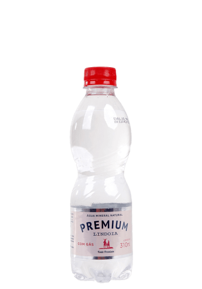 Água Mineral Lindoia Premium Pet com gás 310ml