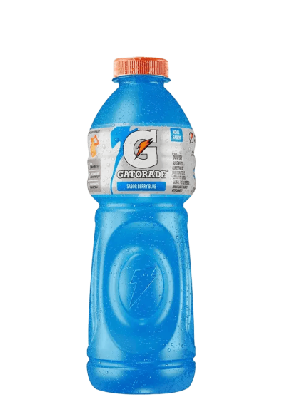 Isotônico Gatorade Blueberry 500ml