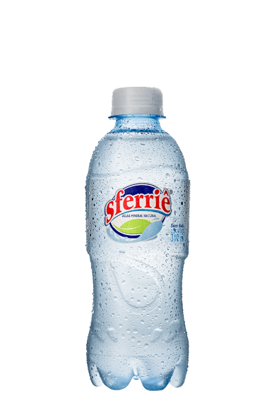 Água Mineral Sferriê Pet Sem Gás 310ml