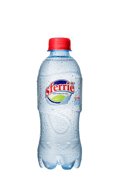 Água Mineral Sferriê Pet Com Gás 310ml