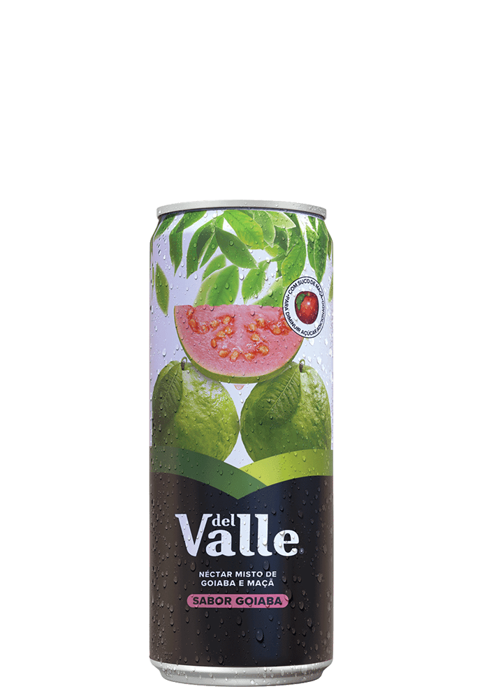 Suco Del Valle Goiaba Lata 290ml