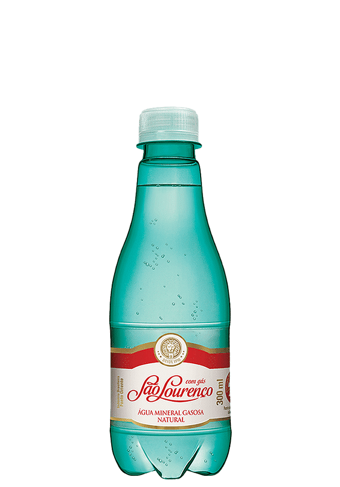 Água Mineral Natural São Lourenço Pet Com Gás 300ml 
