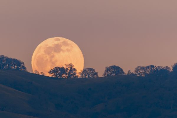 Music for the Full Moon