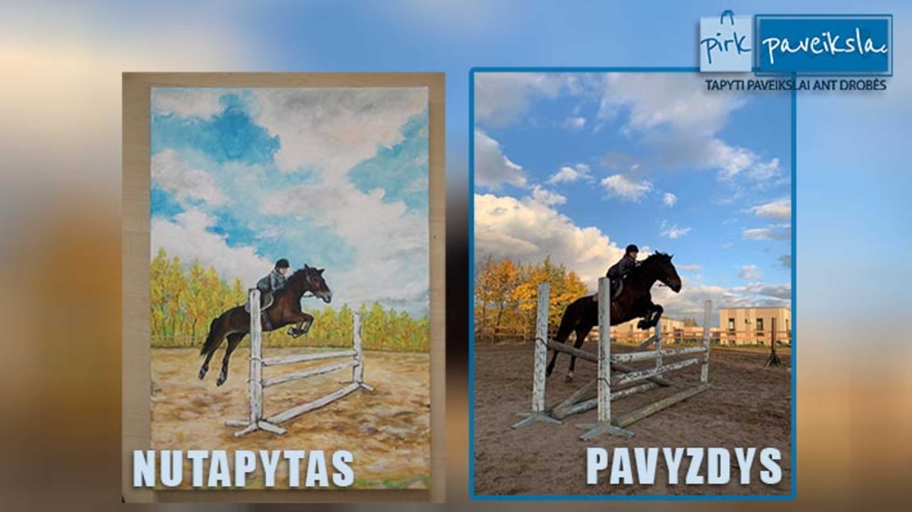 Nutapytas paveikslas Iš nuotraukos