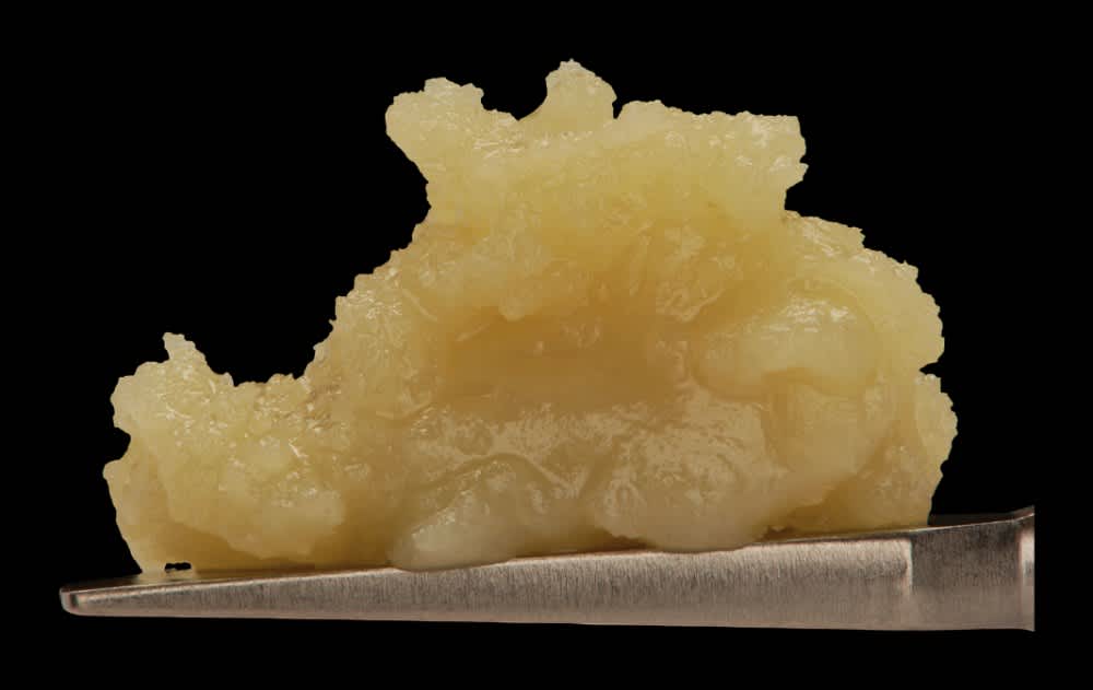 Grapefruit Spritz cold-cure live rosin badder on a dab tool