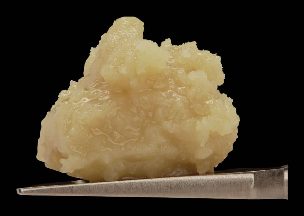 Orange Papaya cold-cure live rosin badder on a dab tool