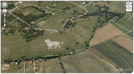 lion king dunstable