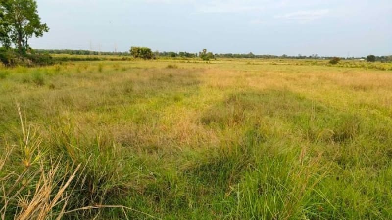 agricultural-land-for-sale-in-manihari-3b25-mob-1