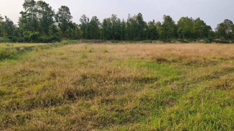 Agricultural land for sale in Manihari
