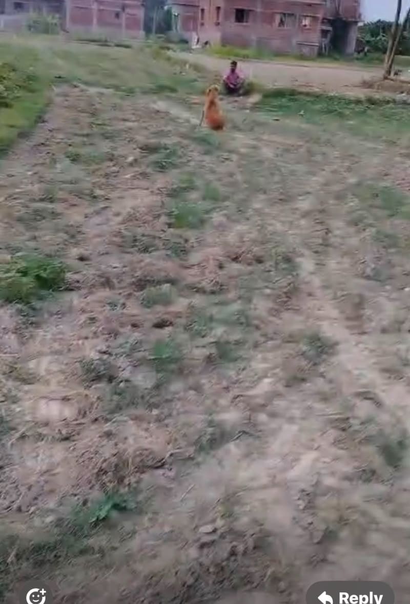 agricultral-land-in-sitamarhi-02ed-mob-1