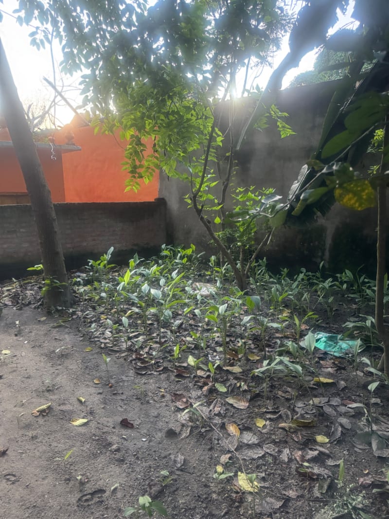 residential-plot-near-jute-mill-d179-mob-2