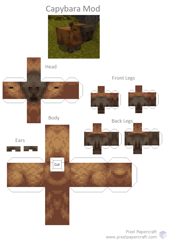 FABRIC] Capybara - Minecraft Mod