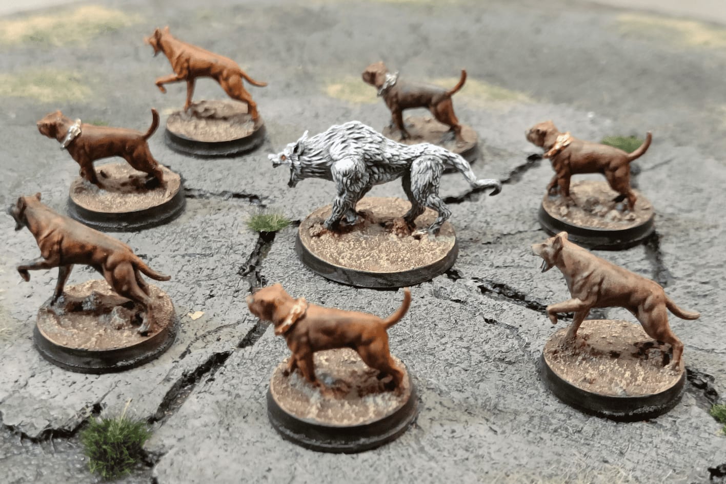 Dogs